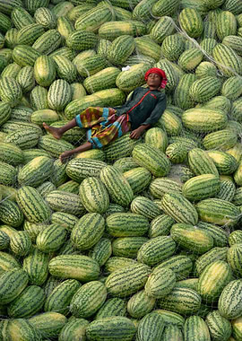 You know you're in love when you can't fall asleep