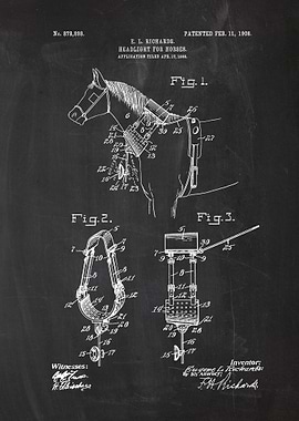 1908 Headlight for Horses - Patent Drawing
