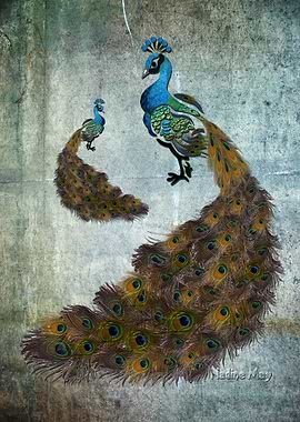 Peacock Feathers Art on paper