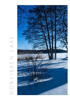 Norvikken Winter 2017 11