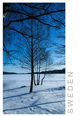 Norvikken Winter 2017 45