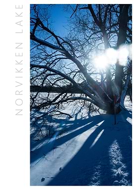 Norvikken Winter 2017 23