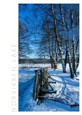 Norvikken Winter 2017 13