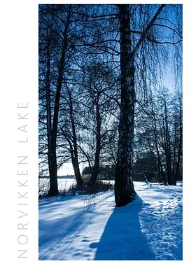 Norvikken Winter 2017 8