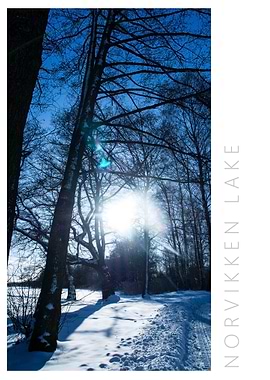 Norvikken Winter 2017 10