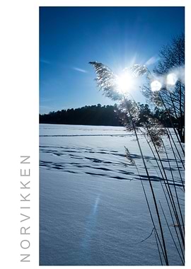 Norvikken Winter 2017 35