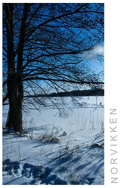 Norvikken Winter 2017 29