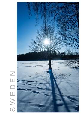 Norvikken Winter 2017 43