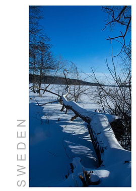 Norvikken Winter 2017 46