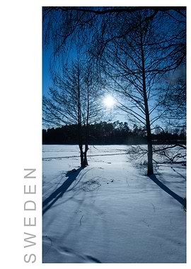 Norvikken Winter 2017 44