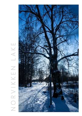 Norvikken Winter 2017 15