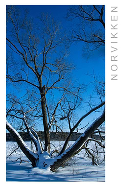 Norvikken Winter 2017 28