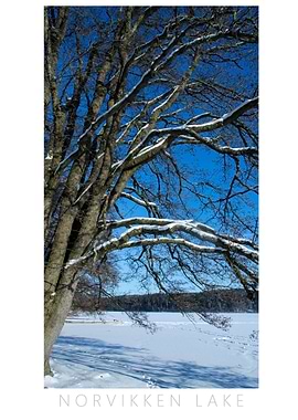 Norvikken Winter 2017 4