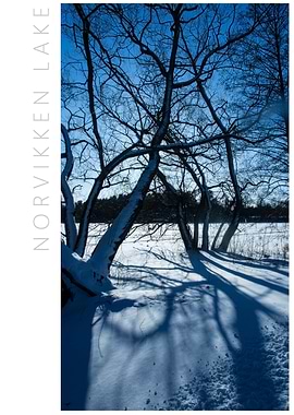 Norvikken Winter 2017 24