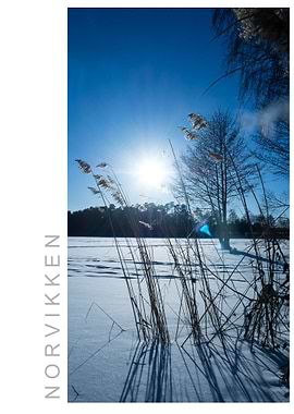 Norvikken Winter 2017 38