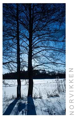 Norvikken Winter 2017 27