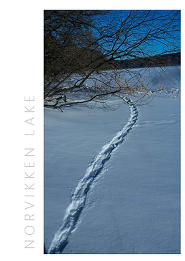 Norvikken Winter 2017 19