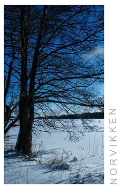 Norvikken Winter 2017 30