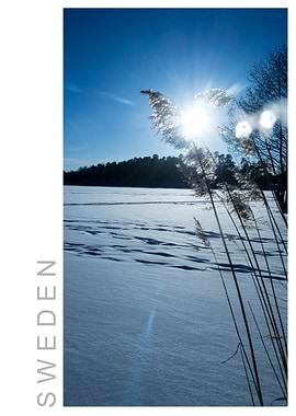 Norvikken Winter 2017 41