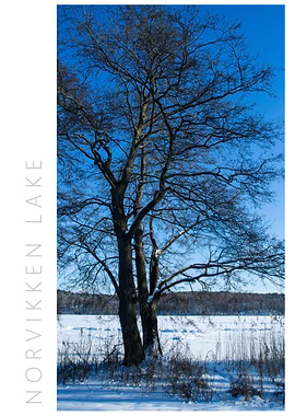 Norvikken Winter 2017 9