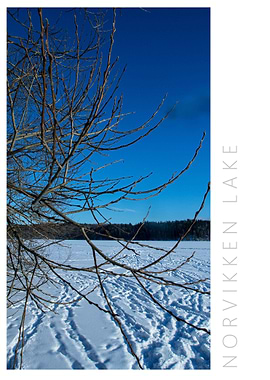 Norvikken Winter 2017 21