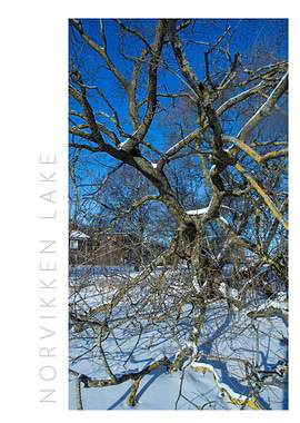 Norvikken Winter 2017 20