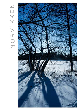 Norvikken Winter 2017 25