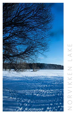 Norvikken Winter 2017 16