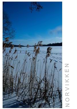 Norvikken Winter 2017 31