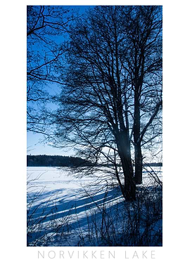 Norvikken Winter 2017 4