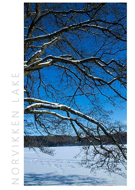 Norvikken Winter 2017 7