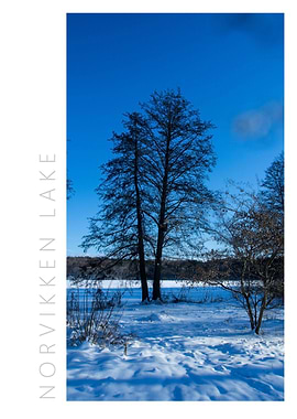 Norvikken Winter 2017 14