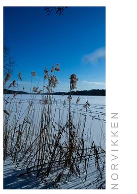 Norvikken Winter 2017 38