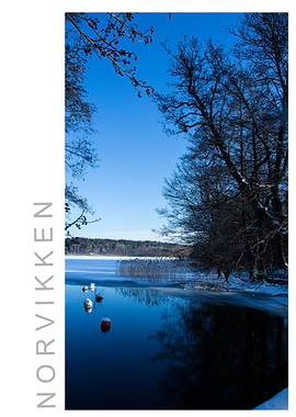 Norvikken Winter 2017 57
