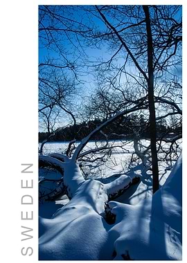 Norvikken Winter 2017 48