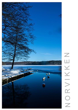 Norvikken Winter 2017 55
