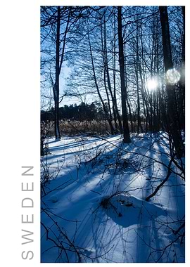 Norvikken Winter 2017 54