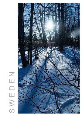 Norvikken Winter 2017 53