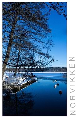 Norvikken Winter 2017 56