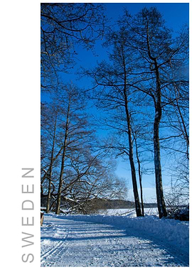 Norvikken Winter 2017 50