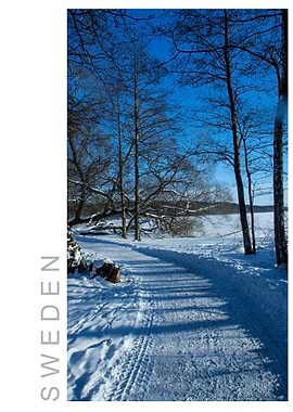 Norvikken Winter 2017 51