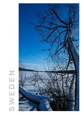 Norvikken Winter 2017 47