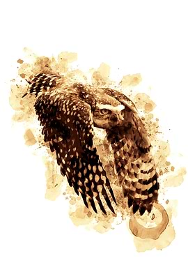 Flying Owl Coffee Style Painting