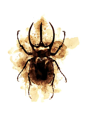 Modern Insect Coffee style