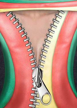 Leather Zipper Wallhanging