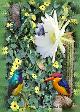 Cactai Flower Meeting