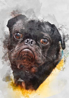 Pug / Watercolor