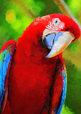 Parrot
