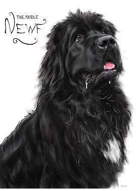 The Noble Newfoundland Dog