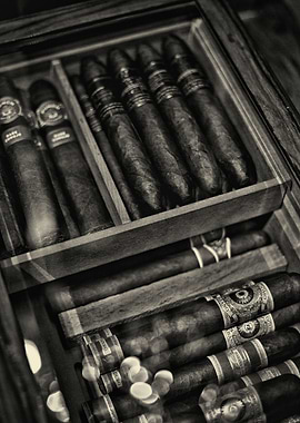 HABANO CIGARS monochrome